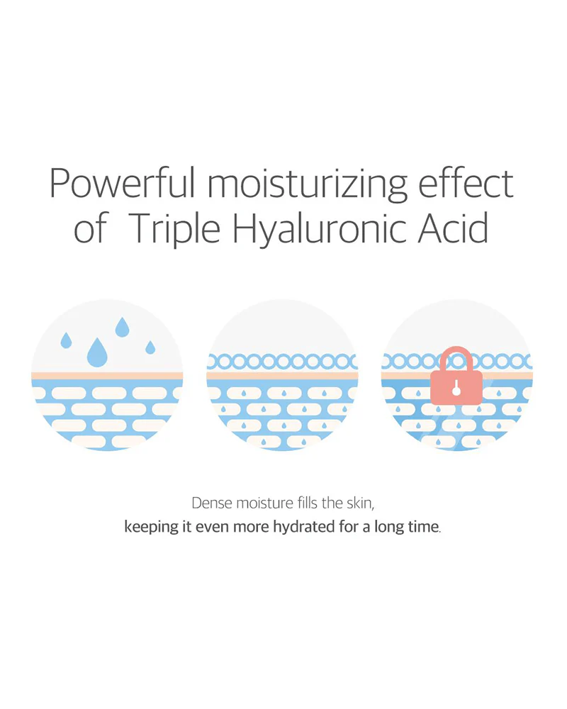 ROUND LAB 1025 Dokdo Lotion - Image 5